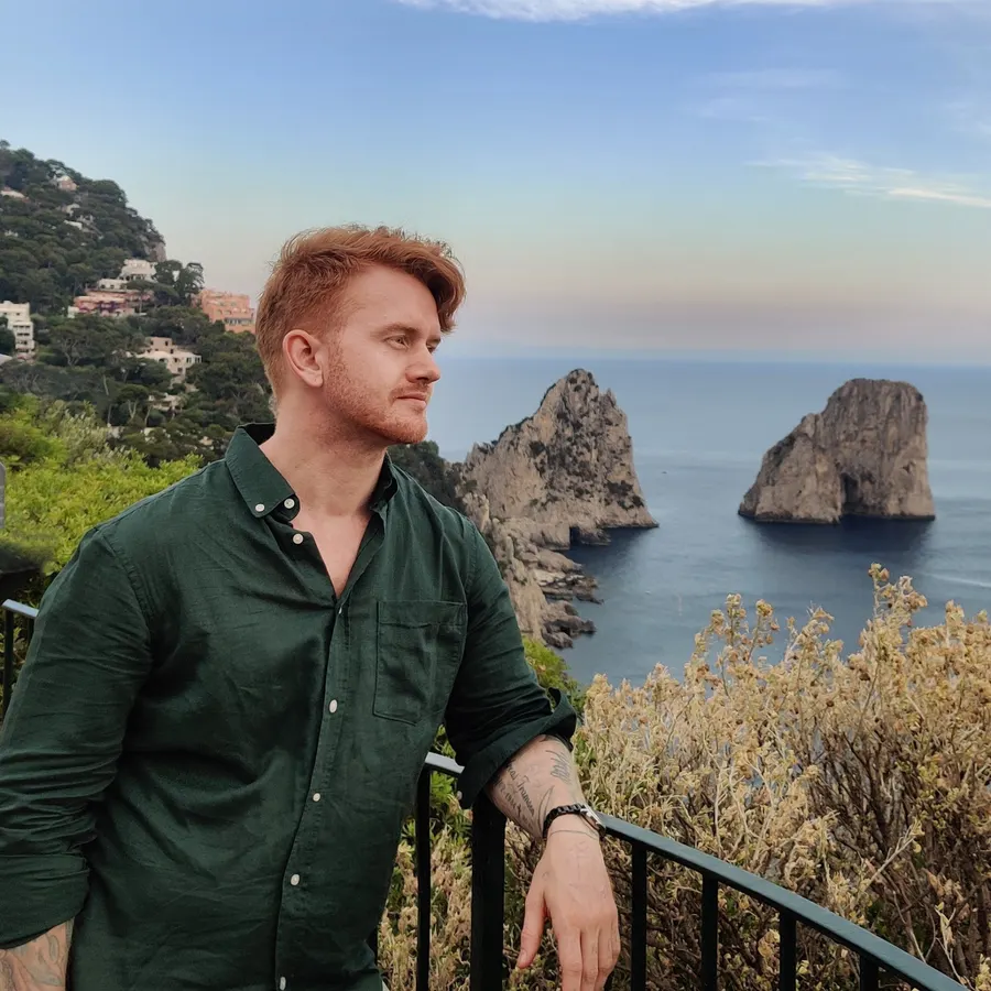 Vidar Phoenix overlooking the coast